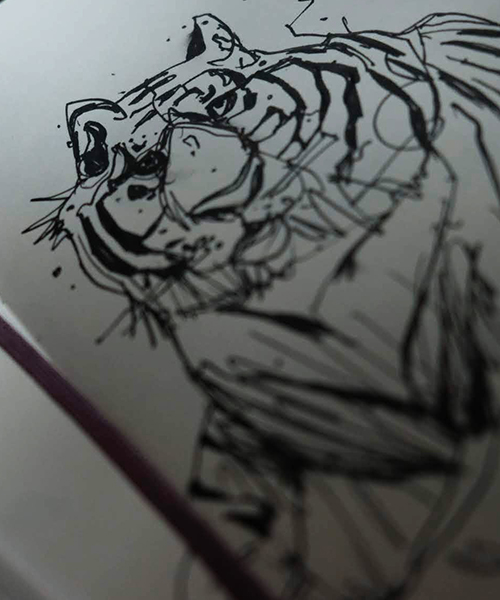 chris wilson tiger pen sketch