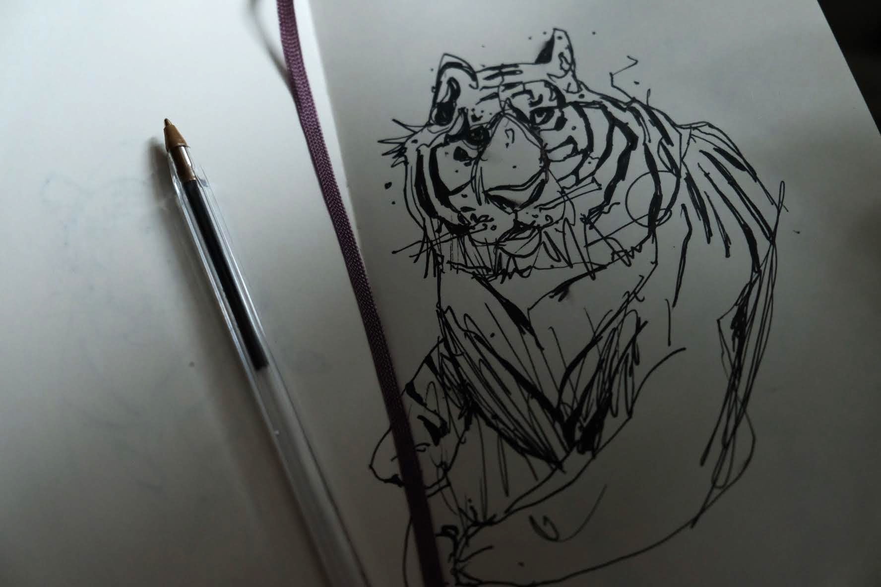 tiger sketch in moleskin sketchbook by Chris Wilson