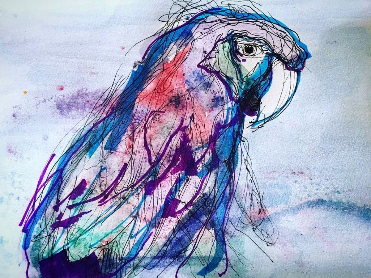 mixed media macaw sketch by wildlife artist Chris Wilson