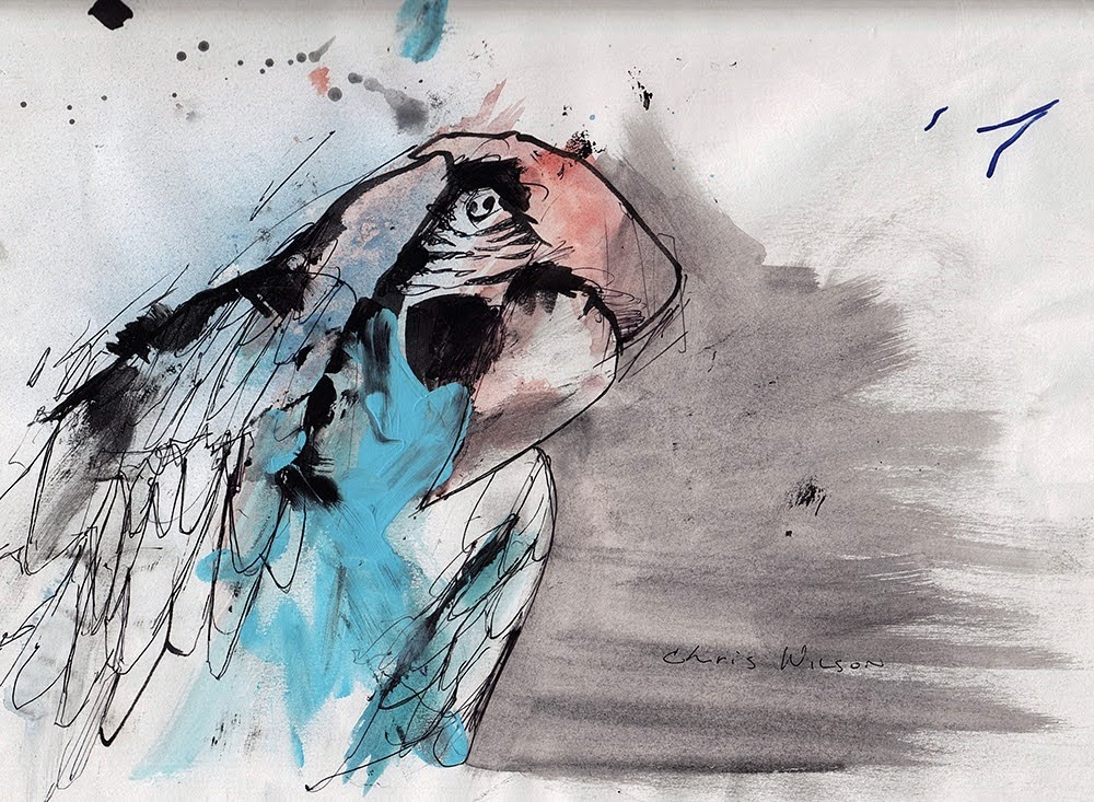 mixed media scarlet macaw drawing by Chris Wilson
