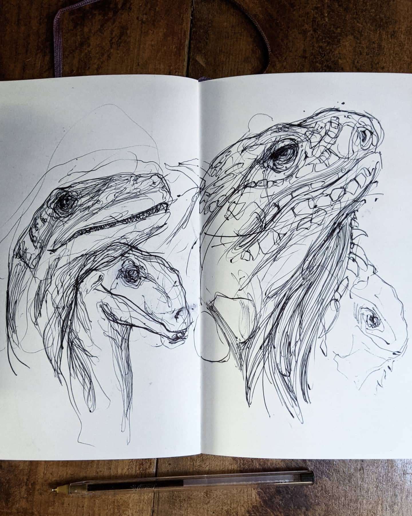 Velociraptor sketchbook drawings by Chris Wilson